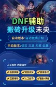 见证 DNF 公益网站的非凡力量，帮助有需